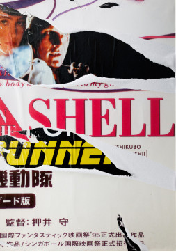 Ghost In The Shell / Blade Runner (Italian) - One Sheet - Torn Movie Poster Collage on Canvas